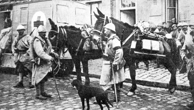 Red Cross wagon during WWI by English Photographer